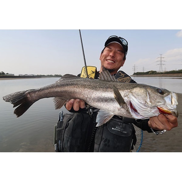 ＫＩＣＫＢＥＡＴ　５５ｍｍ　１２ｇ